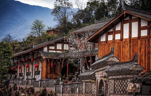 五一假期雨城旅游新气象,为游客免费提供停车位获赞